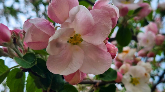 So gehe ich mit Selbstzweifel um