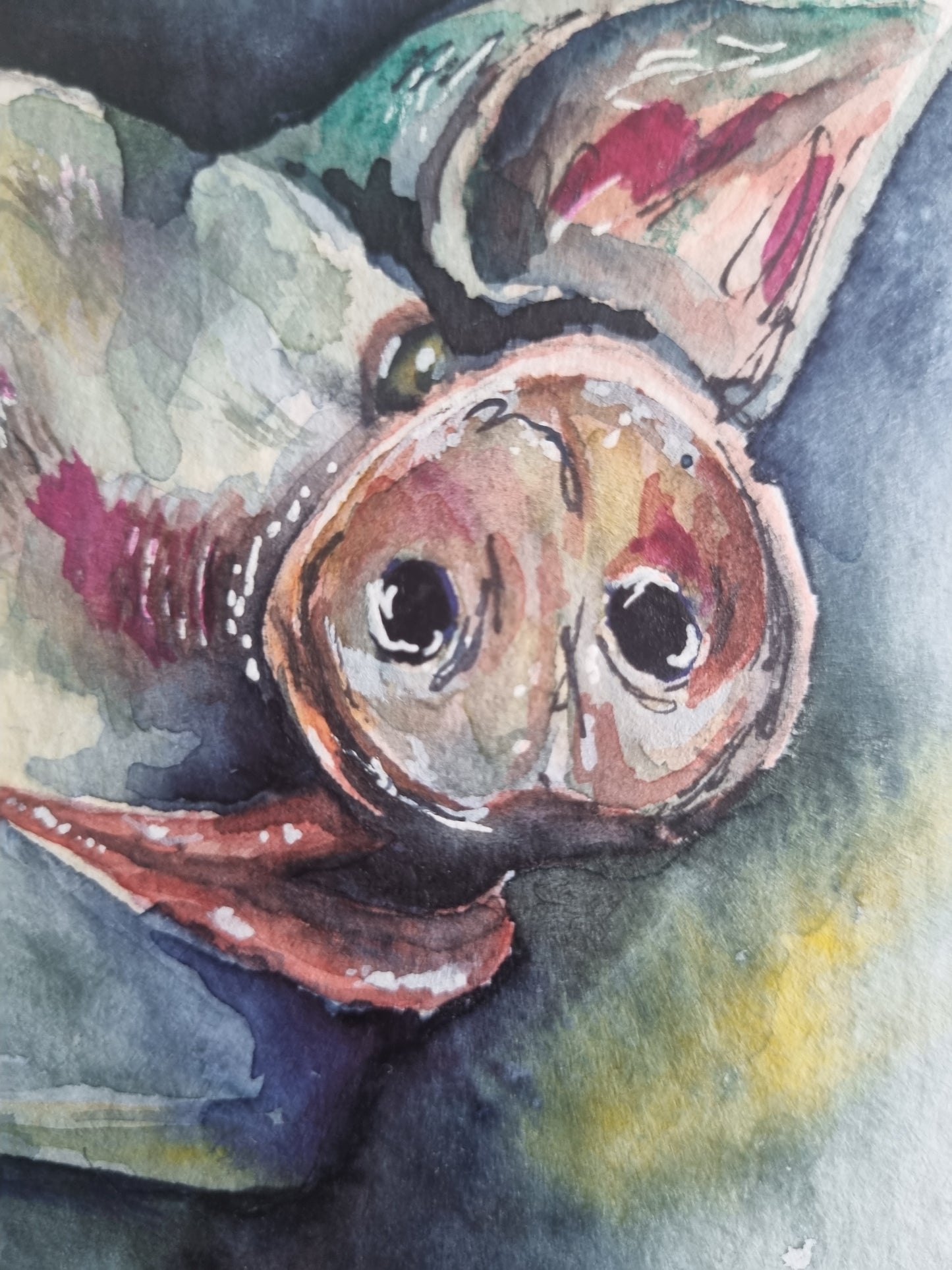 Lady of Excess - Original